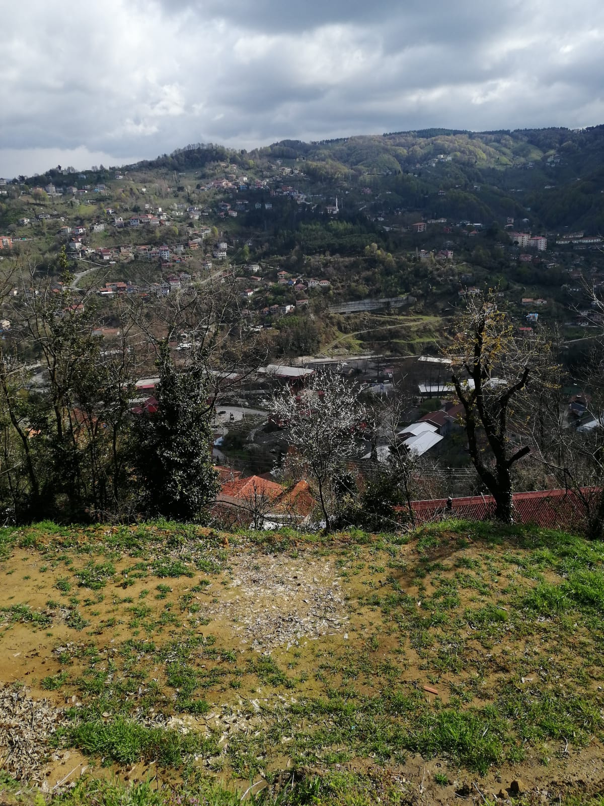 İlan Fotoğrafı